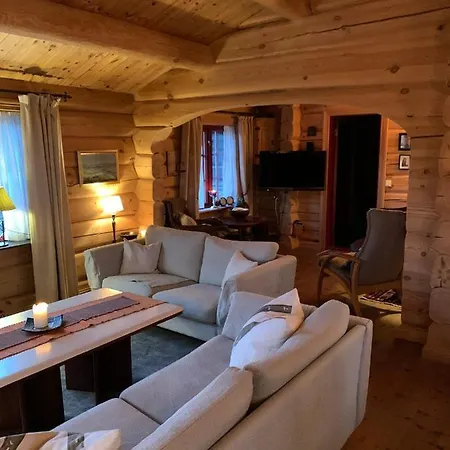 Havretunet Pa Havrefjell-cozy Cabin With Jacuzzi * Amli