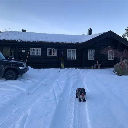 Nyaraló Havretunet Pa Havrefjell-cozy Cabin With Jacuzzi